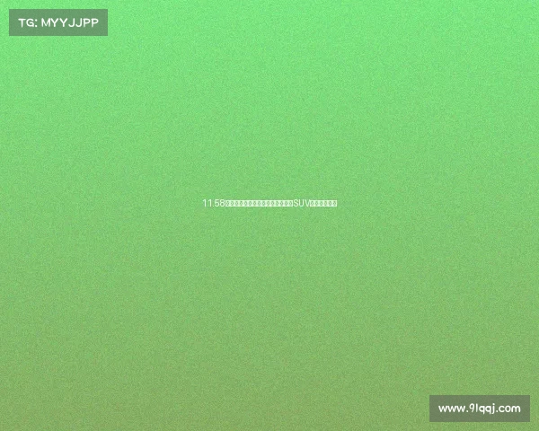 11.58万元起东风雪铁龙首款合资互联网SUV云逸正式预售